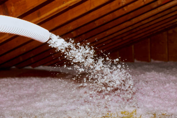 Types of Insulation We Offer in Lorain, OH