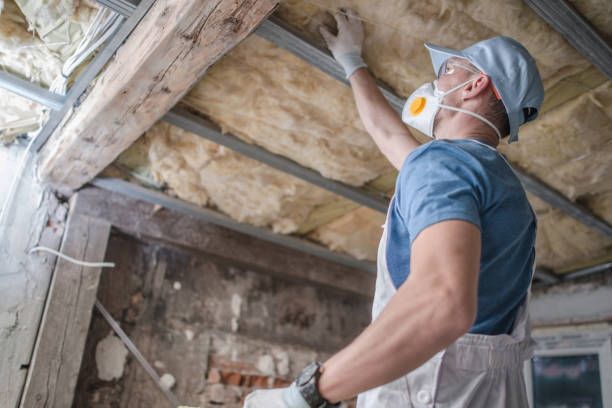 Best Insulation for Specific Applications in Lorain, OH