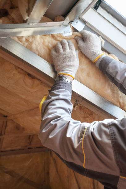Best Residential Insulation in Lorain, OH