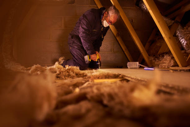 Best Eco-Friendly Insulation in Lorain, OH